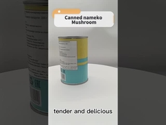 Neuer natürlicher Rohstoff Bauernhof-Pilz des Dosenfrucht-Gemüse-425g