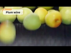 Pflaumenwein mit niedrigem Alkoholgehalt, 720 ml, das beste Paar für Sushi