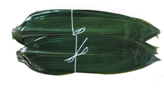 Sushi-Dekorations-Sashimi-frische Bambusblätter Zongye 7.5cm