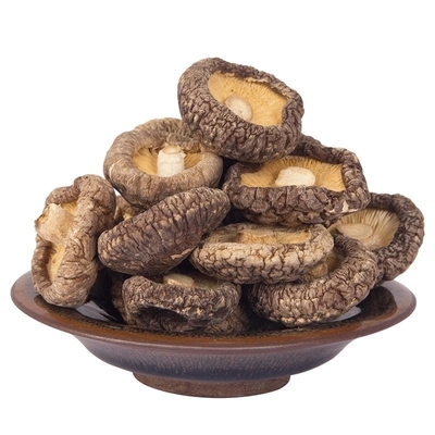 trockener Shiitake-Pilz 100g 250g 1kg 3kg mit BRC IFS-ISO HACCP
