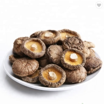Gesunde trockene des Shiitake-Pilz-1kg glatte Oberflächen2 Jahre Haltbarkeitsdauer-