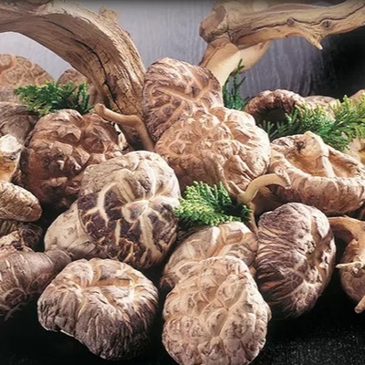 Gesunde trockene des Shiitake-Pilz-1kg glatte Oberflächen2 Jahre Haltbarkeitsdauer-