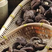 Gesunde trockene des Shiitake-Pilz-1kg glatte Oberflächen2 Jahre Haltbarkeitsdauer-