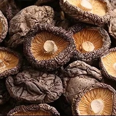 Gesunde trockene des Shiitake-Pilz-1kg glatte Oberflächen2 Jahre Haltbarkeitsdauer-