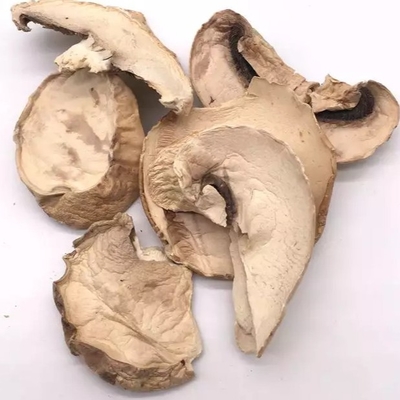 10x10mm Brown japanische trockene Shiitake-Pilz-Bearbeitungs-Taschen-Masse