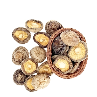 Shiitake-Pilz-Japaner HACCP 1kg 3kg trockener mit gutem Geschmack
