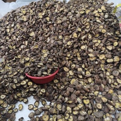 Natürlicher trockener Shiitake-Massenpilz trocknete die organischen Shiitake-Pilze