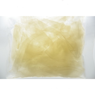 HACCP geschnittenes Mitnehmer10g legte Sushi Ginger In Sweet Vinegar in Essig ein