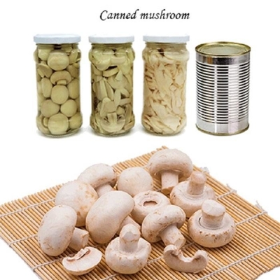 Der Champignon-Pilz Dosenfrucht das Gemüse, das Pilz-Scheiben kaut